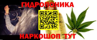 a pvp Краснокаменск