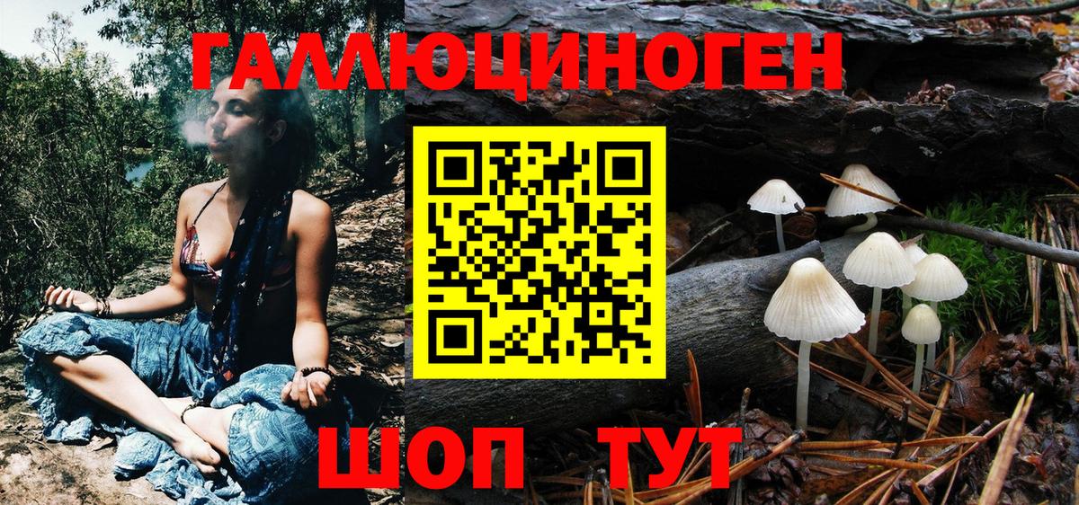 Псилоцибиновые грибы MAGIC MUSHROOMS  Галлюциногенные грибы GOLDEN TEACHER  Кашира  Вход с VPN 