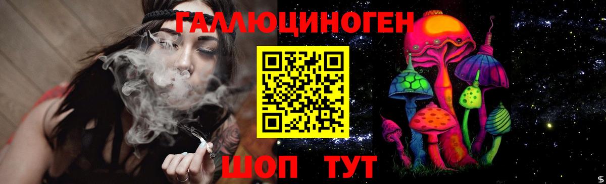 Галлюциногенные грибы GOLDEN TEACHER  Кашира  Псилоцибиновые грибы Psilocybine cubensis 